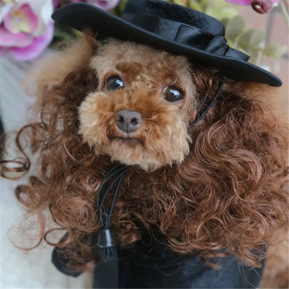 Накидка для кошек собак домашних животных костюмы парик шляпа французский