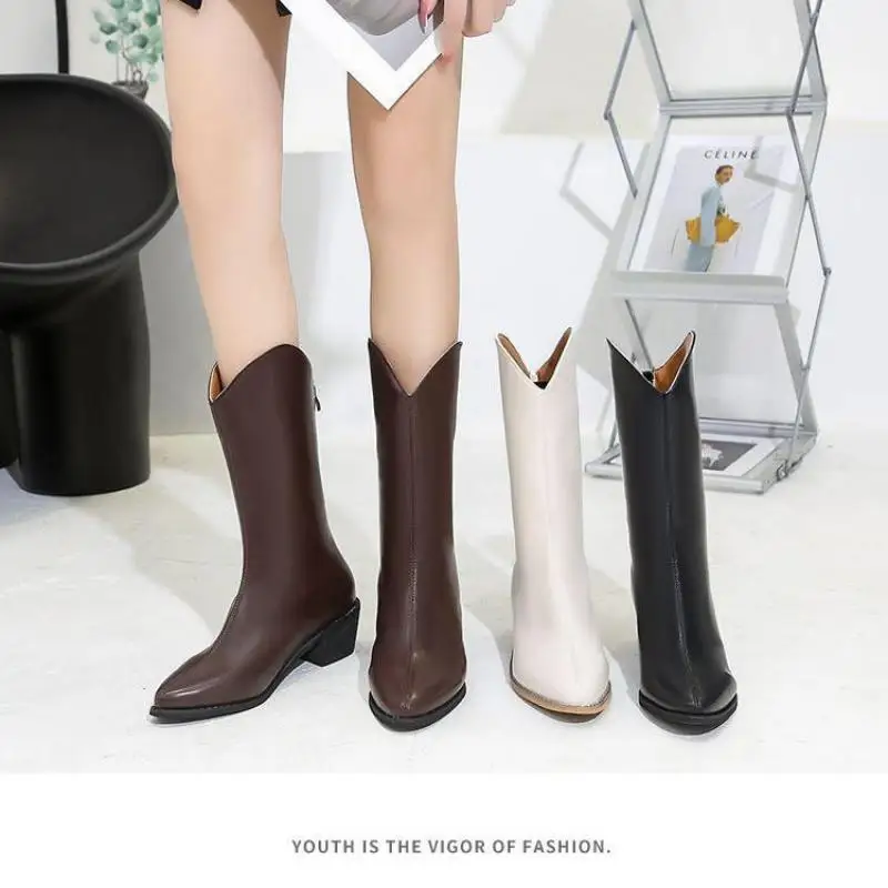 2021 New Winter Western Style Fleece Pointed Toe Mid-heel Square Heel Zipper Women's Fashion Boots