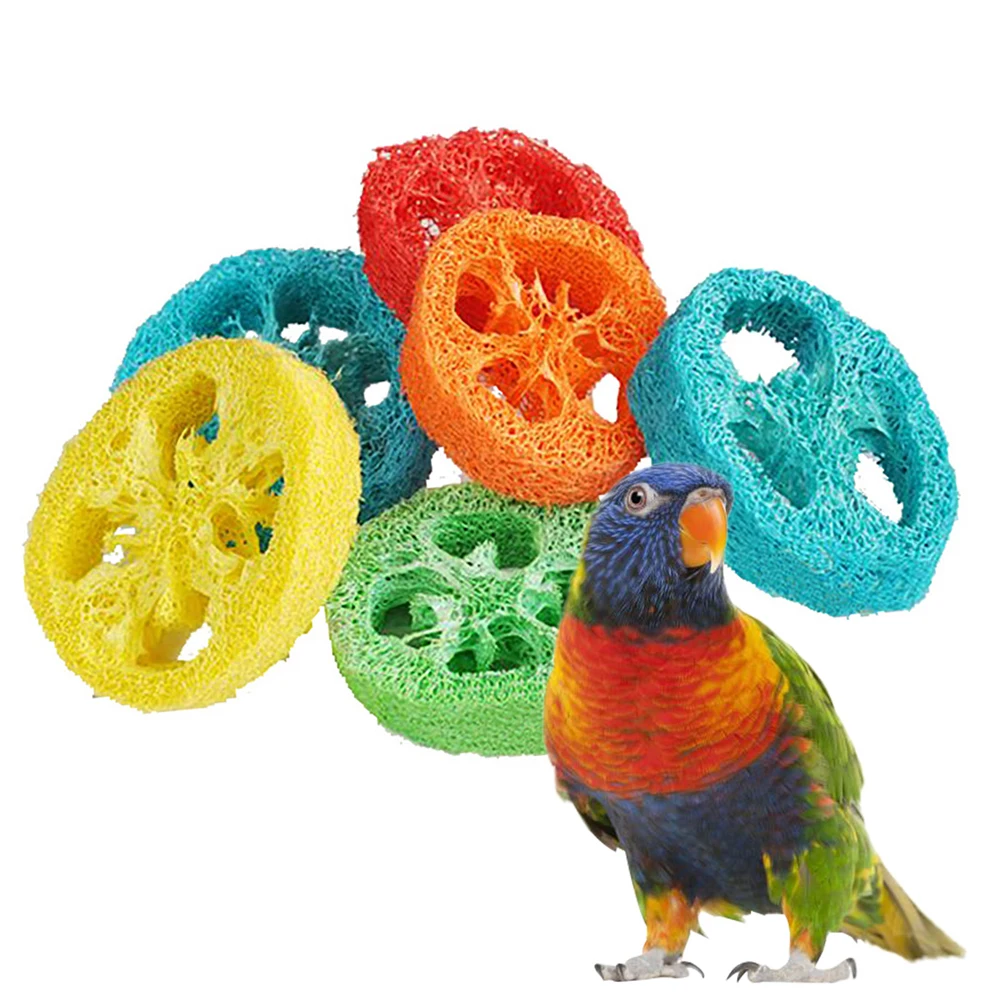 

6PCS New Product Loofah Parrot Chew Toys Luffa Slices Shaped Bird Chew Toys Bird Cage Toys Parrot Cage Toys Bird Supplies