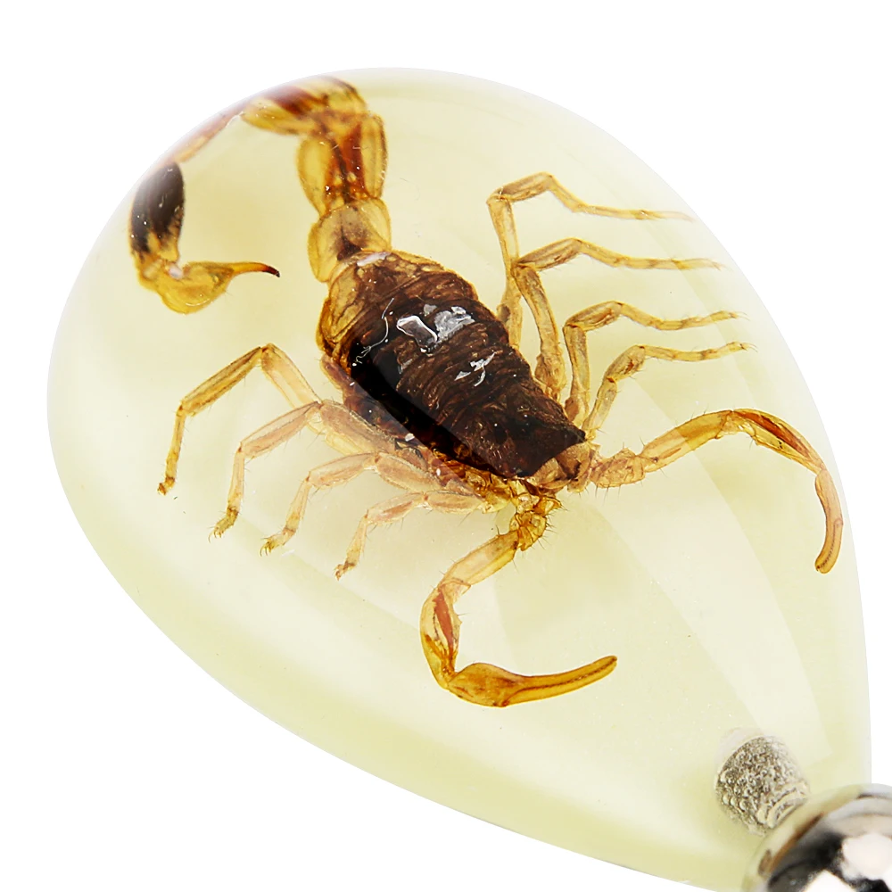 

Car Keyring Noctilucent Key Chain Creative Scorpion Keychain Animal Amber Pendant Key Rings Car-styling Auto Accessories
