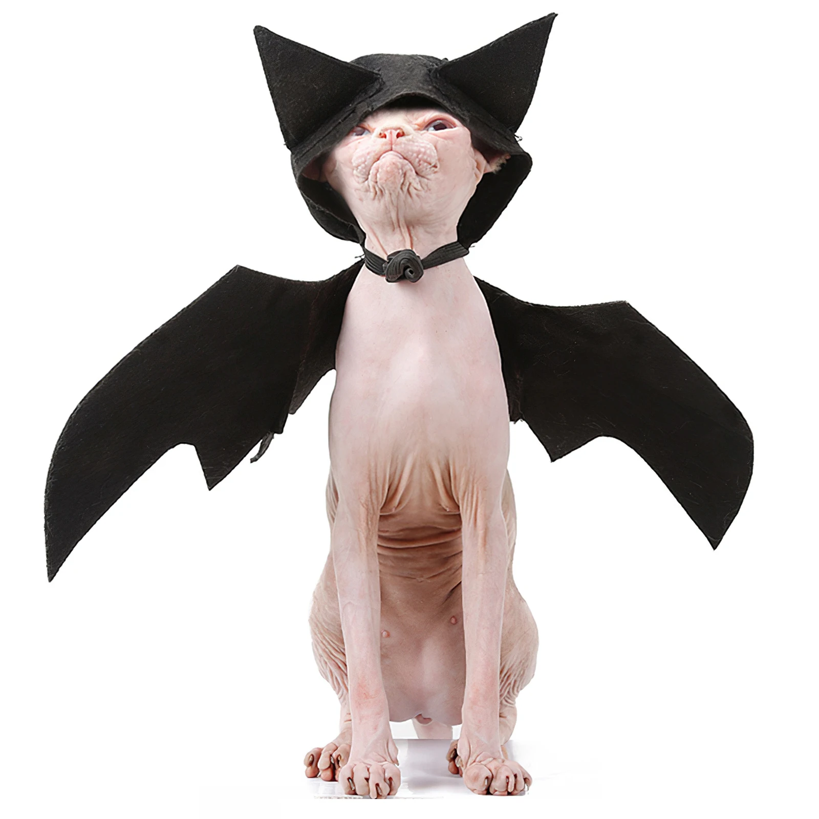 

Comfortable Skin-Friendly Bat Wings Costume Pet Bat Wings Dress Pet Bat Dress Decoration Halloween Pet Costume For Pets
