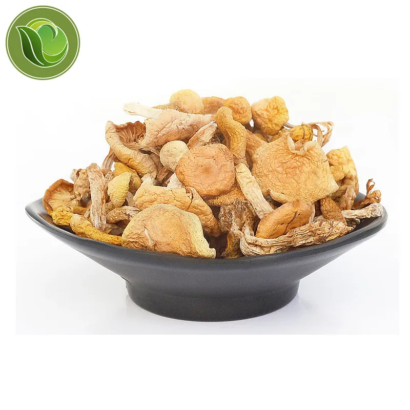 

Wild Plateau Yellow Mushroom Dried Mushroom Delicious Yellow Mushroom