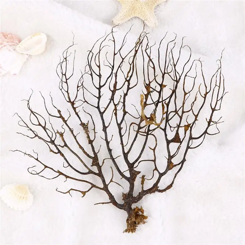 Веер для Черного моря украшение аквариума искусственные растения | Дом и сад