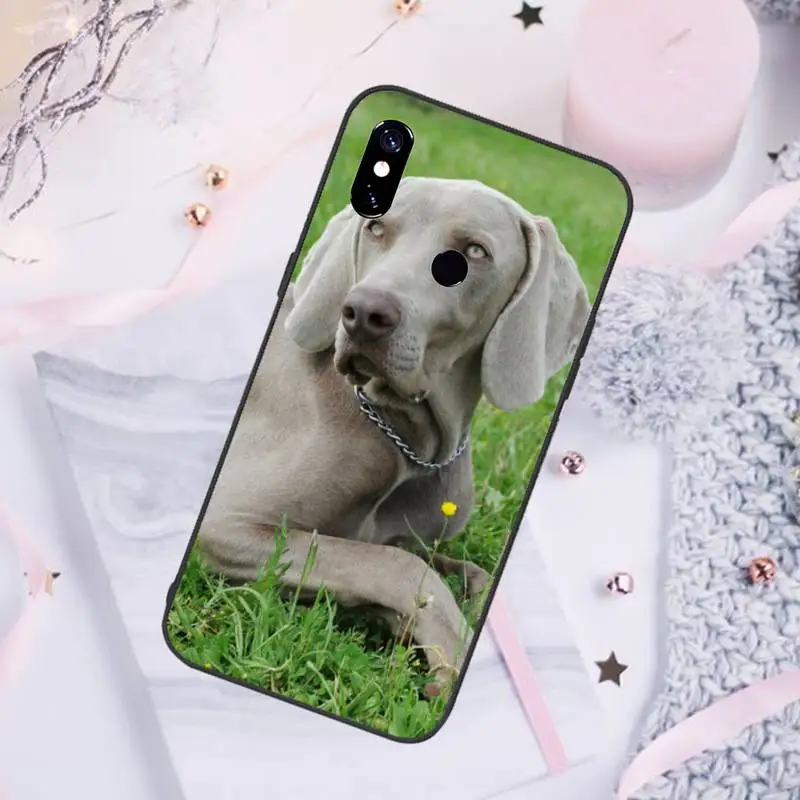

Weimaraner dog Phone Case For Xiaomi Redmi note 7 8 9 pro 8T 9S Mi Note 10 Lite pro