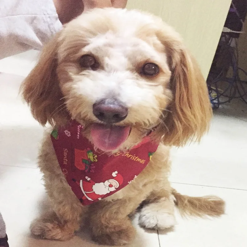 Регулируемый ошейник для домашних животных рождественский подарок нагрудники