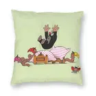 Наволочка для диванной подушки, с забавным рисунком Крота, для домашнего декора, квадратная, 40x40