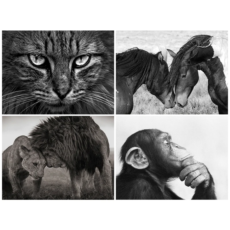 Черно-белая Алмазная картина животные лошадь Лев полная дрель вышивка кошка