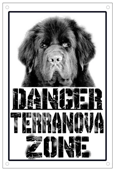 

Vintage Danger Newfoundland Zones Plate Sign Metal Tin Sign 8x12 Inch Retro Home Kitchen Outdoor Garden Wall Decor