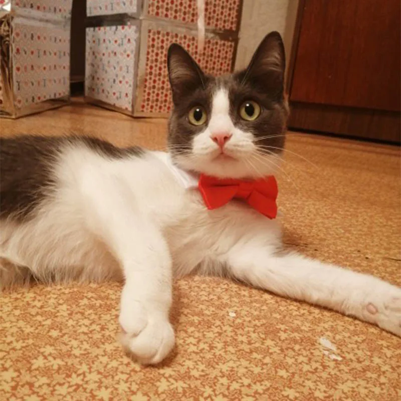 Галстук бабочка для домашних животных регулируемый галстук кота шеи официальный