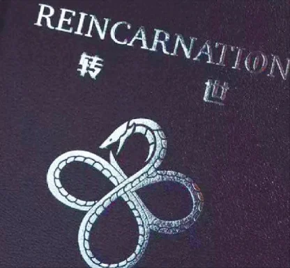 

2021 REINCARNATION by Luke Jermay- Magic Tricks