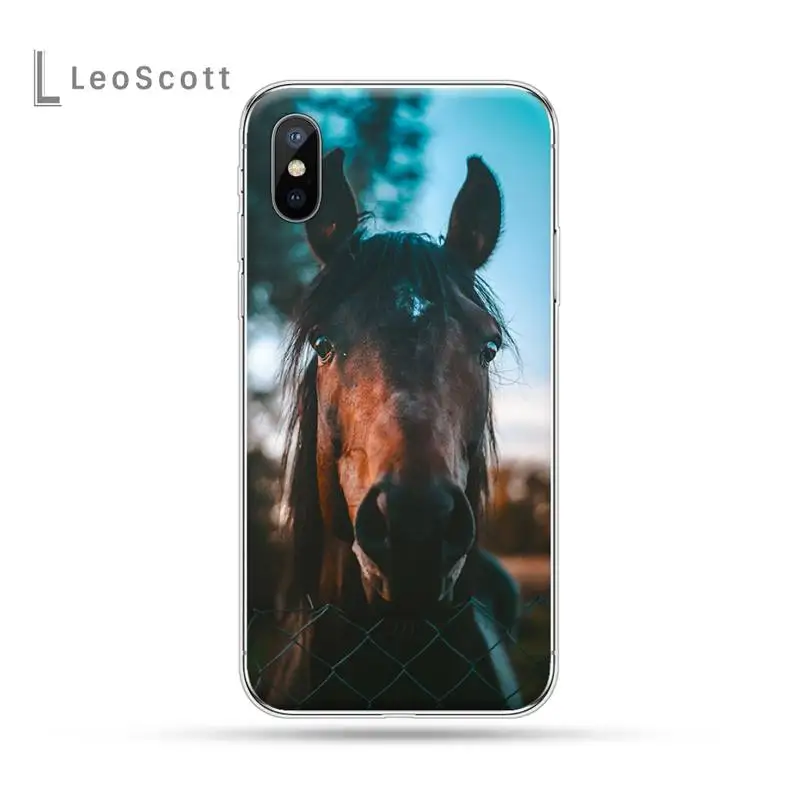 

Frederik The Great beauty horse Phone Case For iphone 12 5 5s 5c se 6 6s 7 8 plus x xs xr 11 pro max