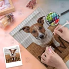 Домашнее животное собака фото на заказ Алмазная картина алмазной мозаики вышивка Продажа Вышивка крестом полностью квадратная картина Стразы Diy алмаз