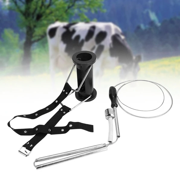 Желудок Железный Такер скот ветеринарный коровий магнит поглотитель желудок