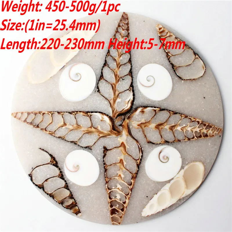 1 шт. натуральная Sun Shell Fossil Plate Disk Mineral Specimen коллекция орнамент для украшения