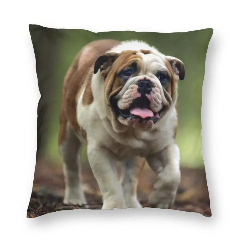 

Cute English British Bulldog Cushion Covers Sofa Living Room Pet Dog Lover Square Pillow Case 40x40cm
