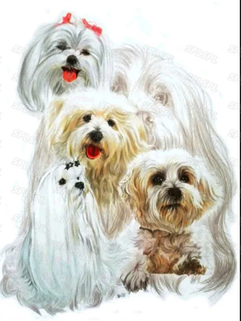 

Diy Diamond Painting Cute and Beautiful Pet Dog Pomeranian Delicious Dessert Afternoon Tea Still Life Landscape Poster