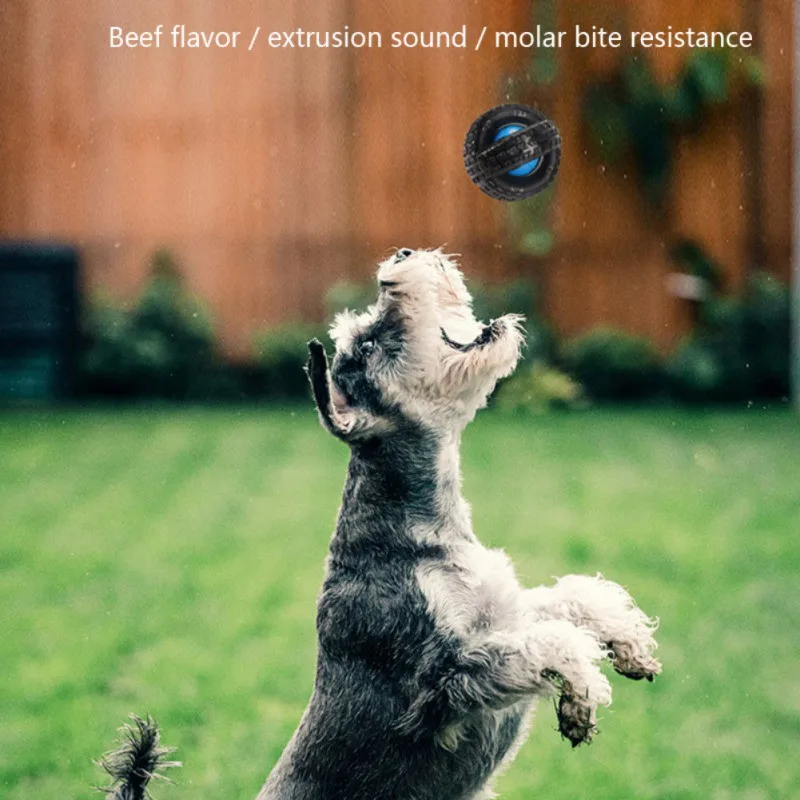 

Durable Squeaky Interactive Natural Rubber Dog Toothbrush Stick Puppy Molar Chew Toy Oral Care For Small Medium And Large Dog