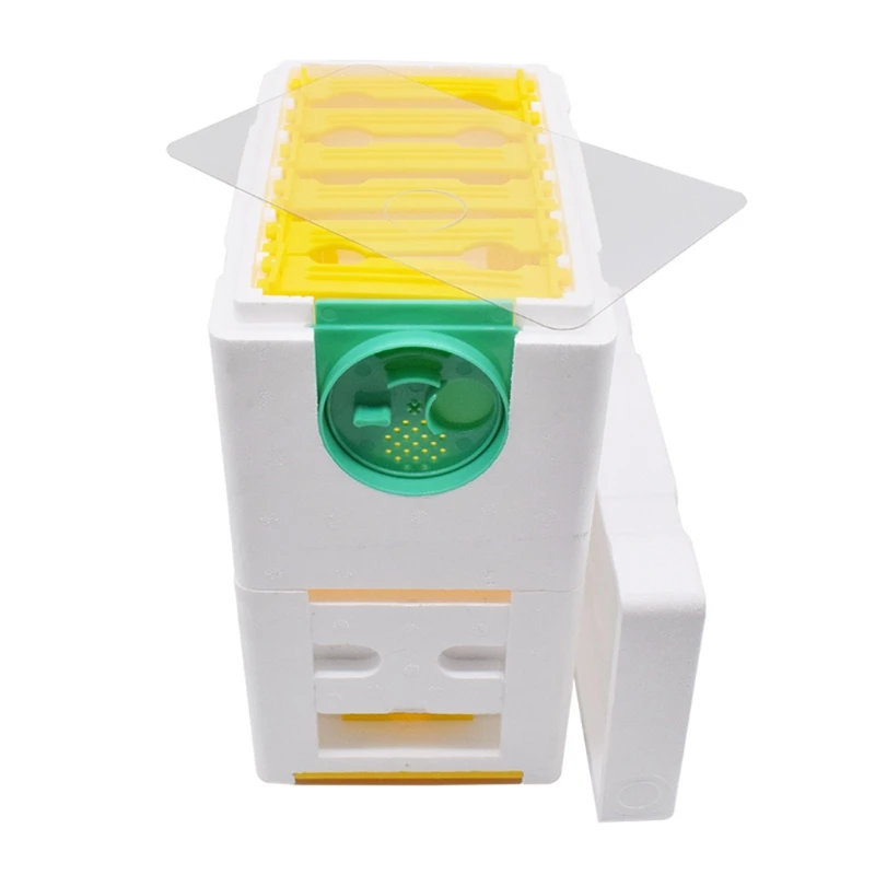 

Multi-Functional Queen Bee Hive Plastic Foam Material Double Box Queen Rearing
