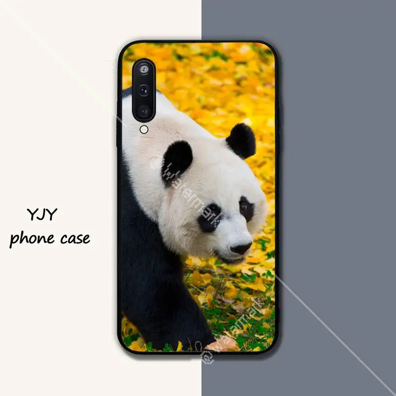 

Panda flower art illustration Silicone black case coque for Samsung galaxy A01 A10 A31 A51 A71 A91 A10S A30S m20 cover