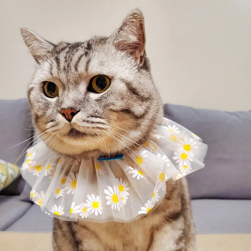 

Pet Cat Saliva Towel Daisy Fairy Kitten Bib Dog Bandana Pet scarf Triangle Scarf For Chihuahua Teddy Bichon Small Dog Cat Collar