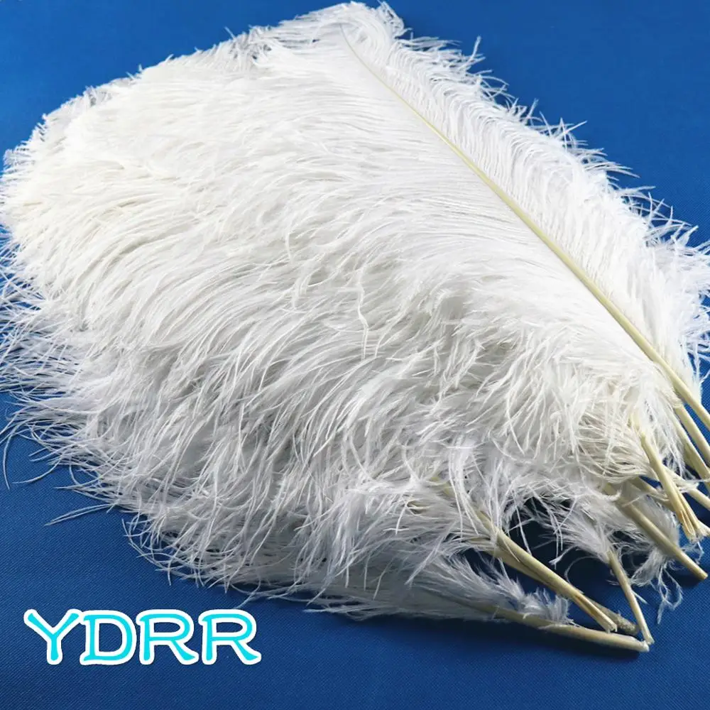 Окрашенные Перья wediing лучшая цена белые декоративные перья Quill Spines цветные