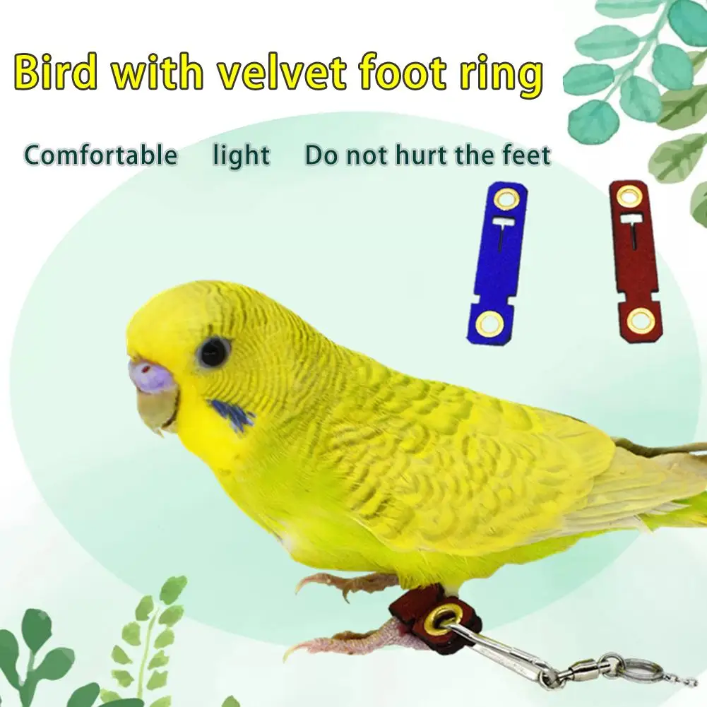 5 размеров 2 цвета Pet Parrot Leg Ring цепочка на лодыжку птица кольцо открытый Летающий обучение открытие активности нашест для птиц аксессуары