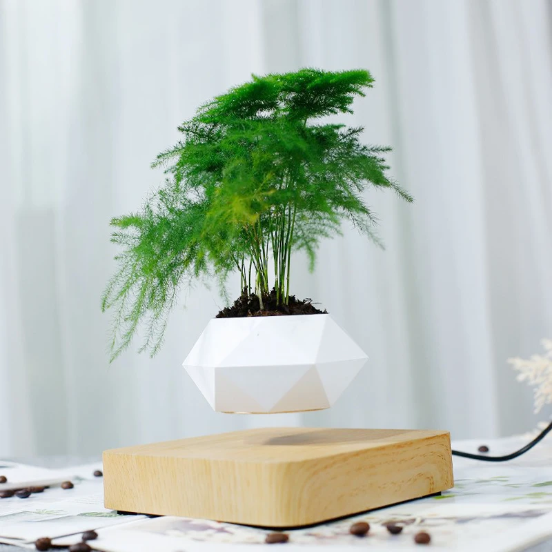 

Magnetic Suspension Floating Pot Potted Plant Home Desk Decor Levitating Air Bonsai Pot Rotation Flower Pot Planters Gifts