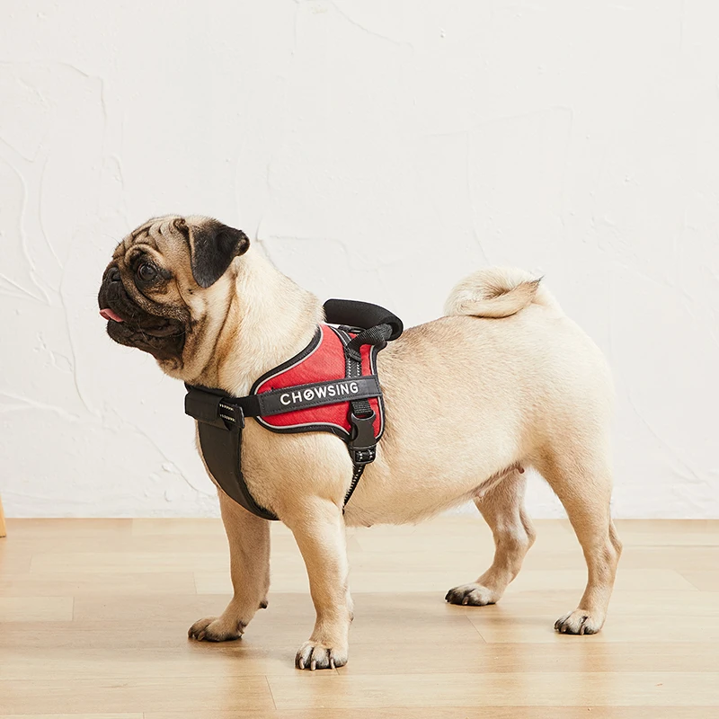 Большой прочный персонализированный ошейник для собак с кожаным подкладом