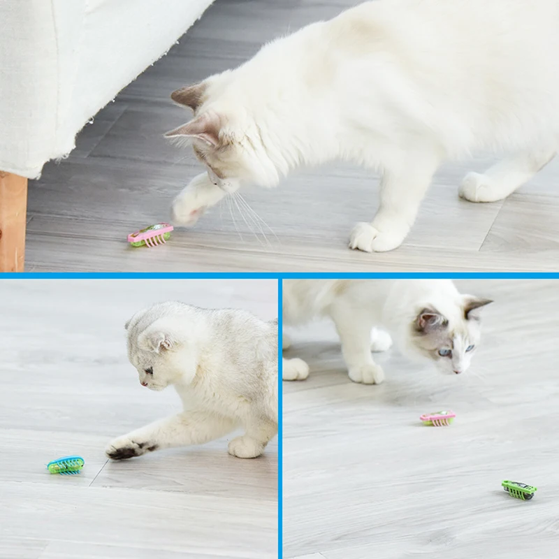 

Cat Insect Toy For Small Cats Interactive Toys Cat Toys Funny Cat Escaping Obstacles Automatically Toys Random Color Nano Bug