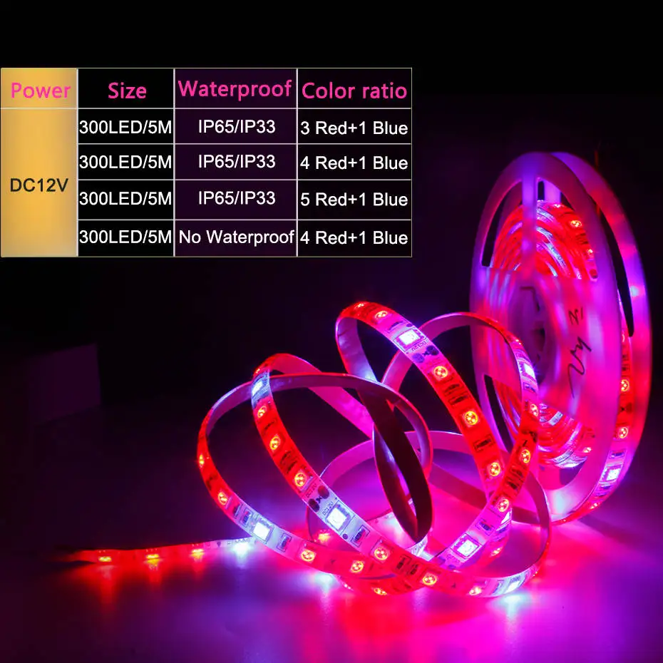 

DC 12V Plant Grow Light Strip LED Phytolamp Full Spectrum Red Blue Lamp Plants Growing For Seedling Flower Vegetable Succulents