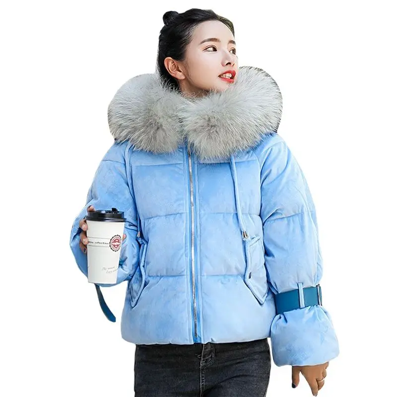 Велюровое зимнее пуховое пальто с капюшоном и меховым воротником короткая