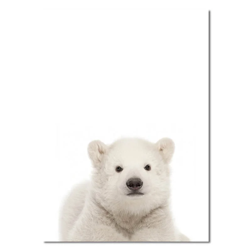 Черно-белый Милый Постер с животными белый медведь панда енот принты настенная