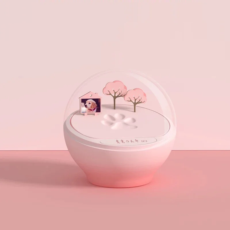 2021 горячая Распродажа подарочные носки с принтом медвежьей лапы комплект Pet