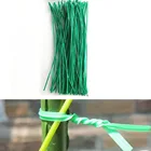 50 шт. Зеленый Садовый бонсай, лоза, альпинизм, растения, кабельные стяжки, детали для растений, бонсай, цветы, огурец, виноград, Ротанговые опоры