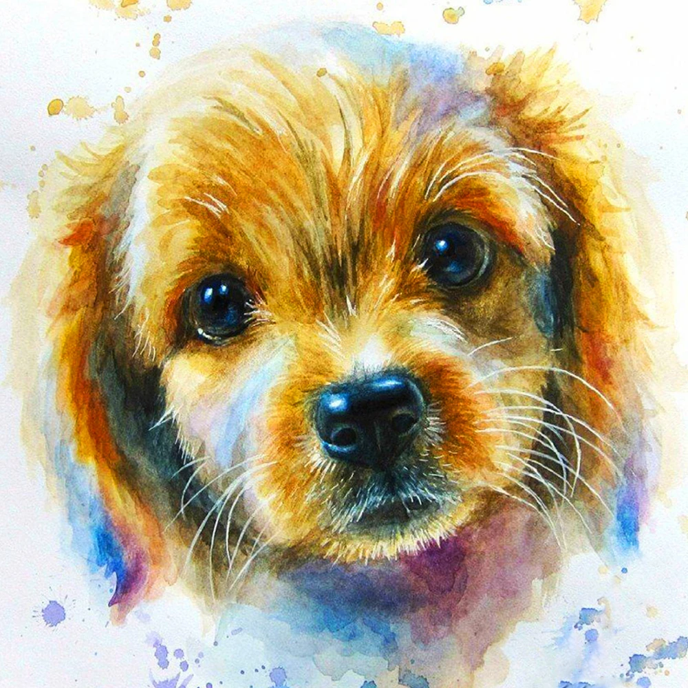 

Evershine Алмазная вышивка собака вышивка крестом 5D DIY Алмазная мозаика животные полная выкладка картина стразы декор для дома