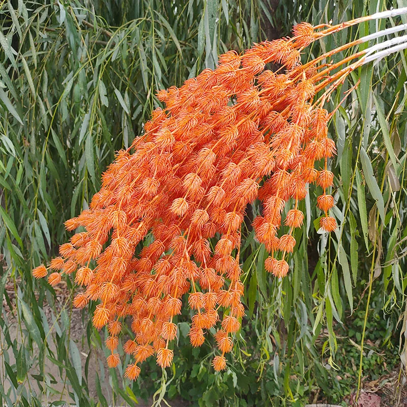 5 шт. большой размер свадебный фон цветок ветки искусственный осенний цвет