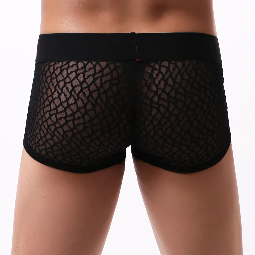 

Exotic Apparel