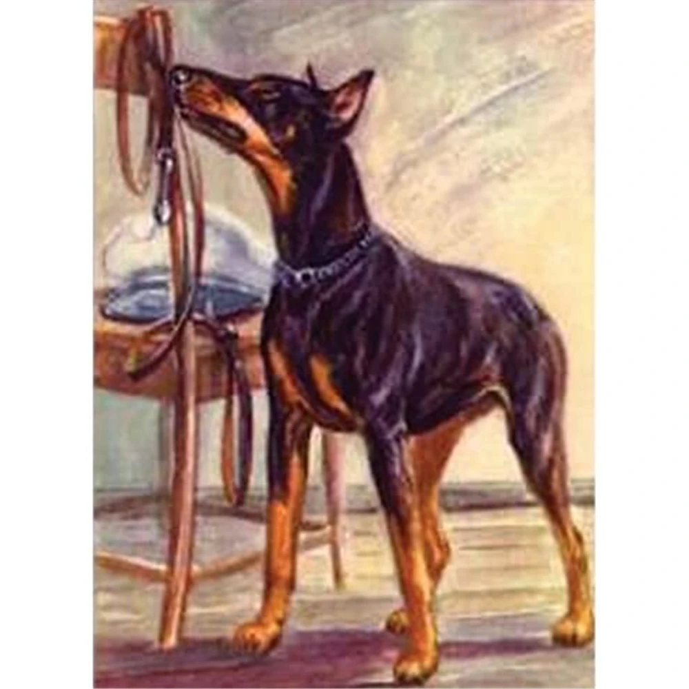 

Набор для вышивки крестиком «сделай сам» с изображением собаки, наборы 11CT, набор для рукоделия, холст с принтом, хлопчатобумажная нить для д...