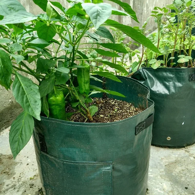 

5 Bags of Potato Planting Bags 7 Gallons of Waterproof PE Gardening Vegetables for Planting Potatoes, Carrots