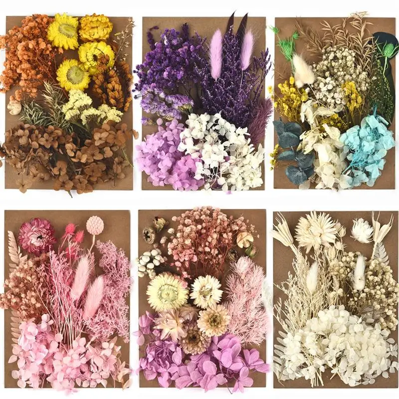 

DIY Real Dried Flower Resin Mold Fillings UV Expoxy Flower For Epoxy Resin Molds Jewelry Making Craft DIY Accessories