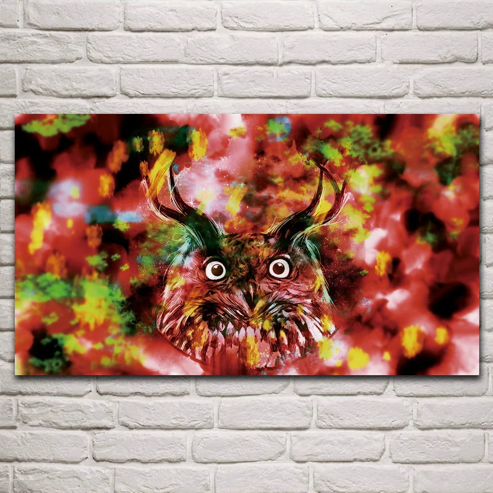 

colorful owl birds animals artwork posters on the wall picture home living room decoration for bedroom KP941