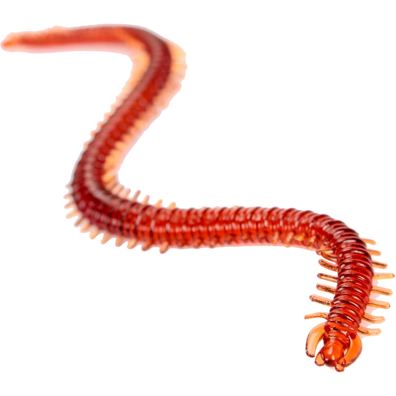 

13cm Thick Fishy Silkworm Lure Soft Bait Sea Fishing Freshwater Bait Sea Earthworm Centipede Millipede Bionic Lure