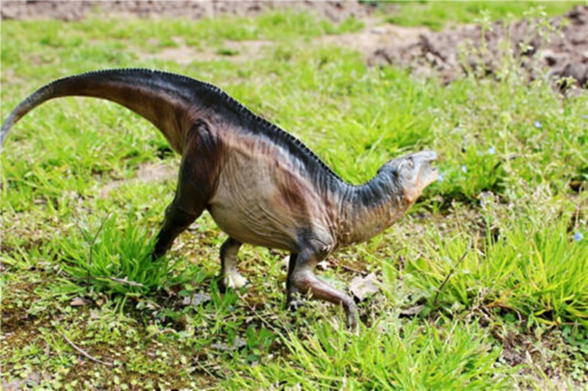 PNSO 14 5 &quotShantungosaurus Юрский большой динозавр ПВХ Реалистичная животная модель
