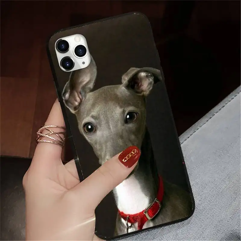 

Galgo Greyhound cute funny Dog Phone Case for iPhone 11 12 pro XS MAX 8 7 6 6S Plus X 5S SE 2020 XR high quality cover shell