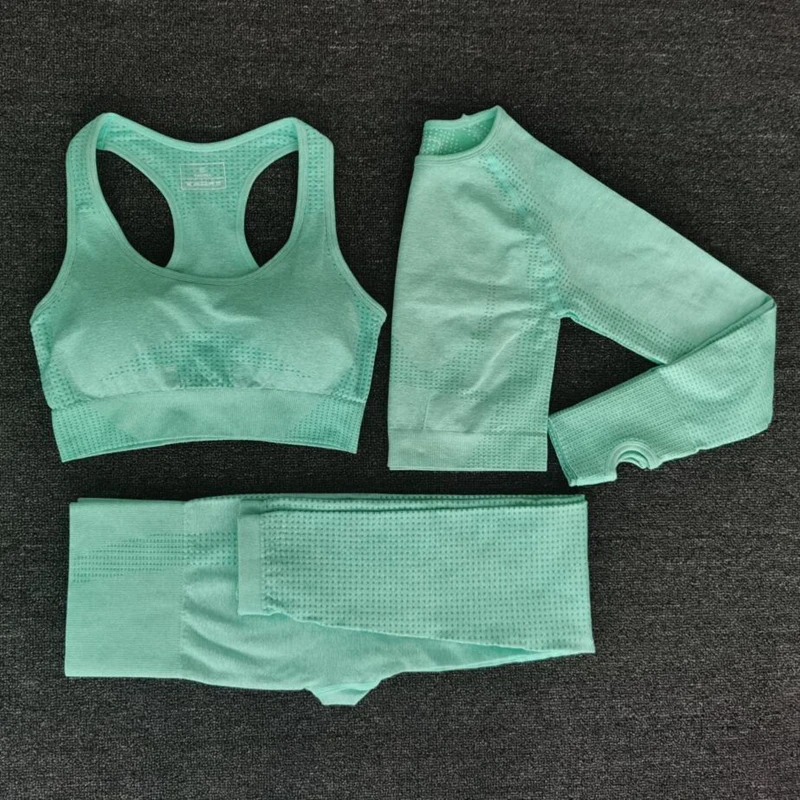 

Workout Clothing 2021 Women Seamless Yoga Set Fitness Sports Suits GYM Cloth Yoga Long Sleeve Shirts High Waist Running Leggings