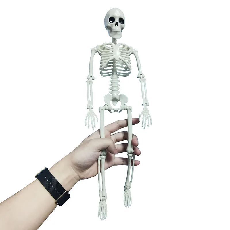 

People Active Model skeleto Anatomy Skeleton Skeleton Model Medical Learning Halloween Party Decoration Skeleton Art Sketch Mini