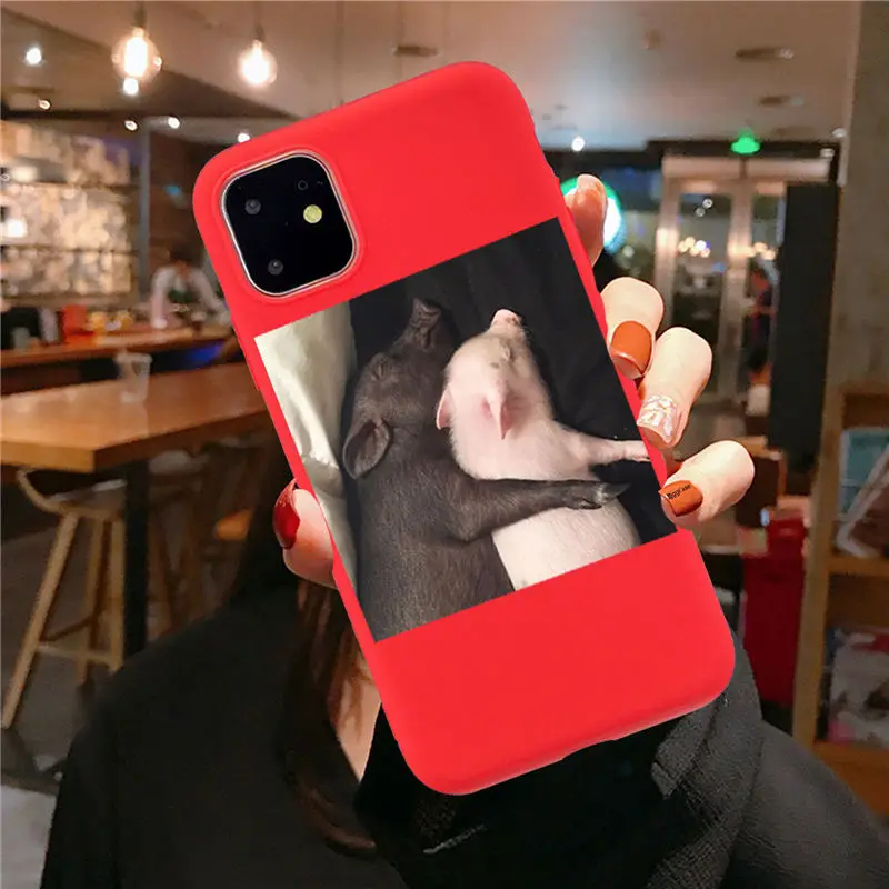 red TPU F3184 Забавный чехол для телефона с рисунком поросенка для iphone 11 Pro XS MaxX XR чехол для iphone 6 S 5 5S 7 8 plus Мягкий чехол милые Чехлы для пар - Цвет: red TPU F3184