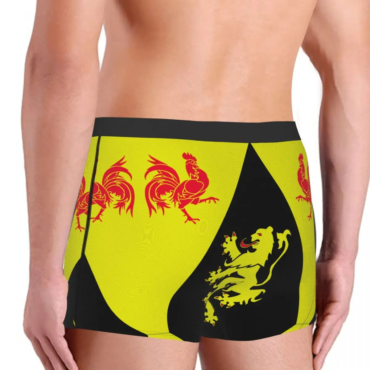 Флаги провинции BE бюбант Валон мужские боксеры трусы бельгийские забавные