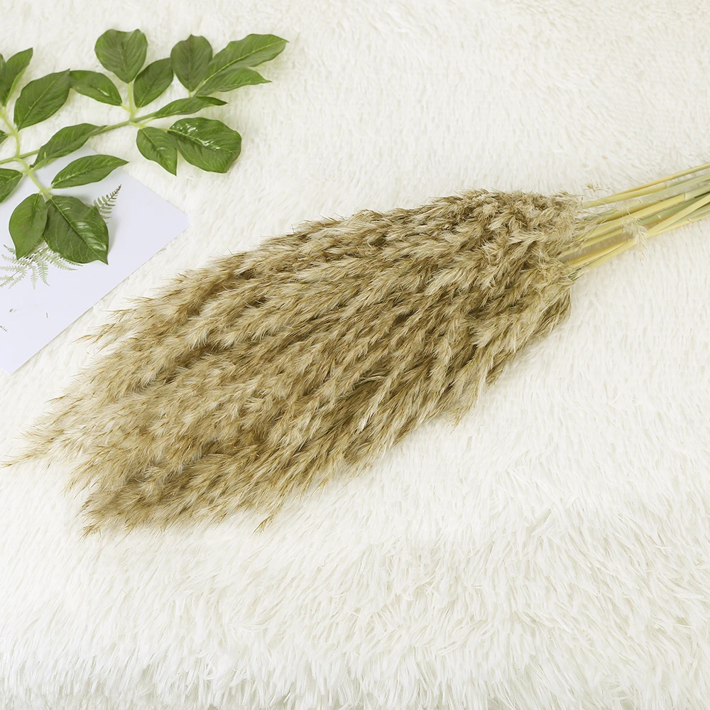 

1 Set Natural Dried Pampas Grass Artificial Flowers Phragmites Plants Party Christmas Home Garden Decoration Accessories
