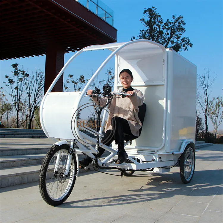 6 Speed Hydraulic Disc Brakes Large Cargo Box Urban Last Mile Delivery Trikes Electric Tricycle | Food Processors